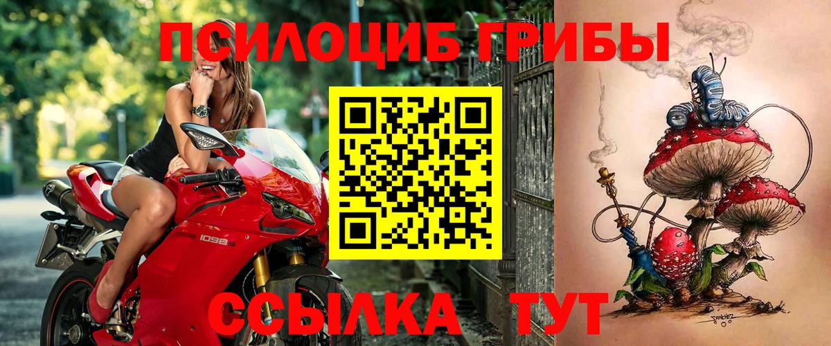 Галлюциногенные грибы прущие грибы  Псилоцибиновые грибы Psilocybine cubensis  Гусь-Хрустальный  Вход с VPN 